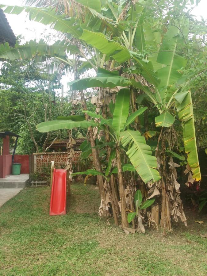 Lepa Com Cozinha Privativa Villa Boicucanga Exterior photo